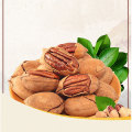 Wholesale Agriculture Products Pecans Nut snacks